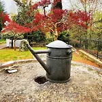 Alojamento de Acomodação e Pequeno-almoço Antica Dimora Del Portico 3*