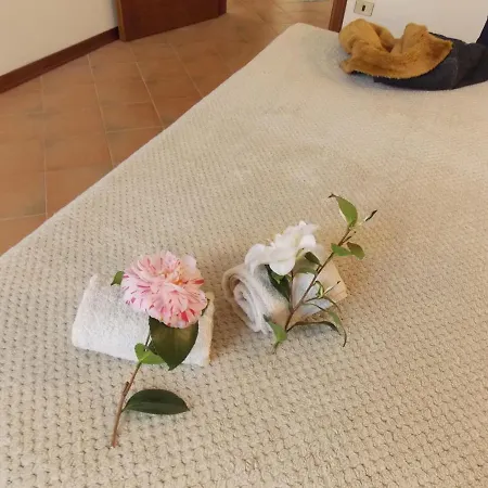 Antica Dimora Del Portico 3* Borgiallo