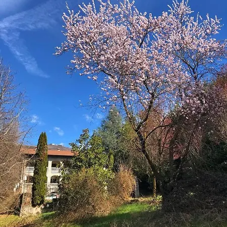 B&B Antica Dimora Del Portico
